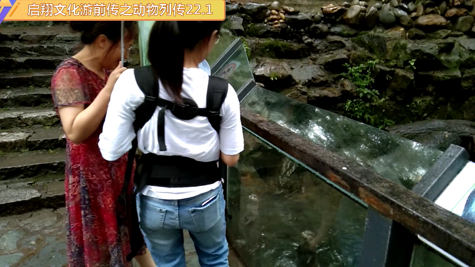 不是水赖，是水獭！我没文化真可怕！