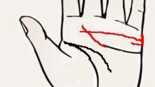 手相剖析：婚姻线和感情线相交