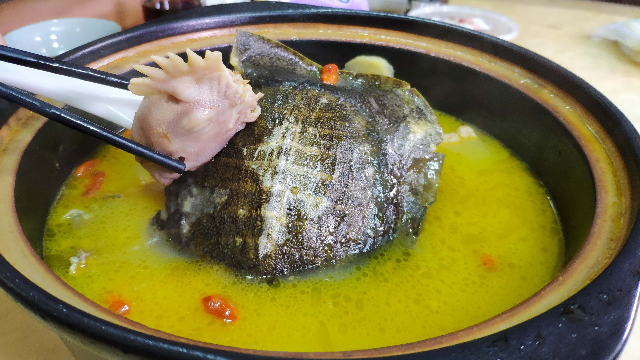1只甲鱼1只小母鸡，老刘做安徽名菜霸王别姬，营养滋补全家都爱