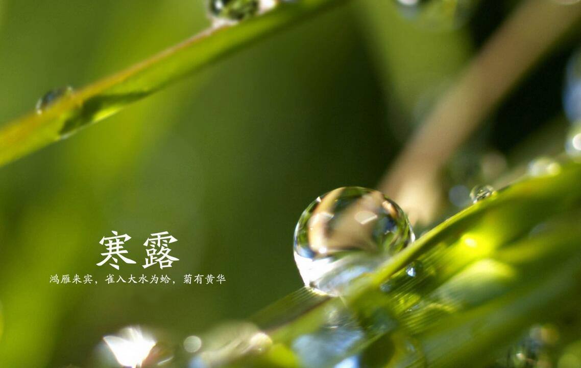 寒露│ 露已寒凉 请多穿衣