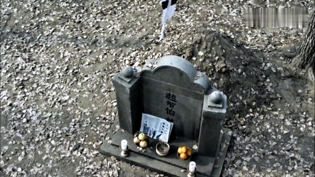 赵小姐跟葛十三配合,成功偷了鬼子旅团长保险