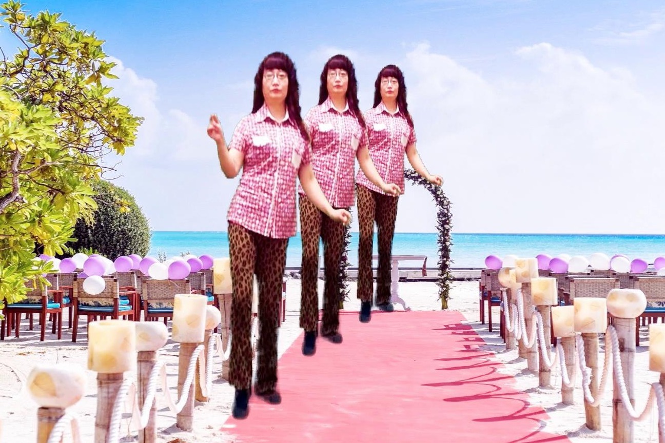 16步广场舞《花开的时候你就来看我》背面教