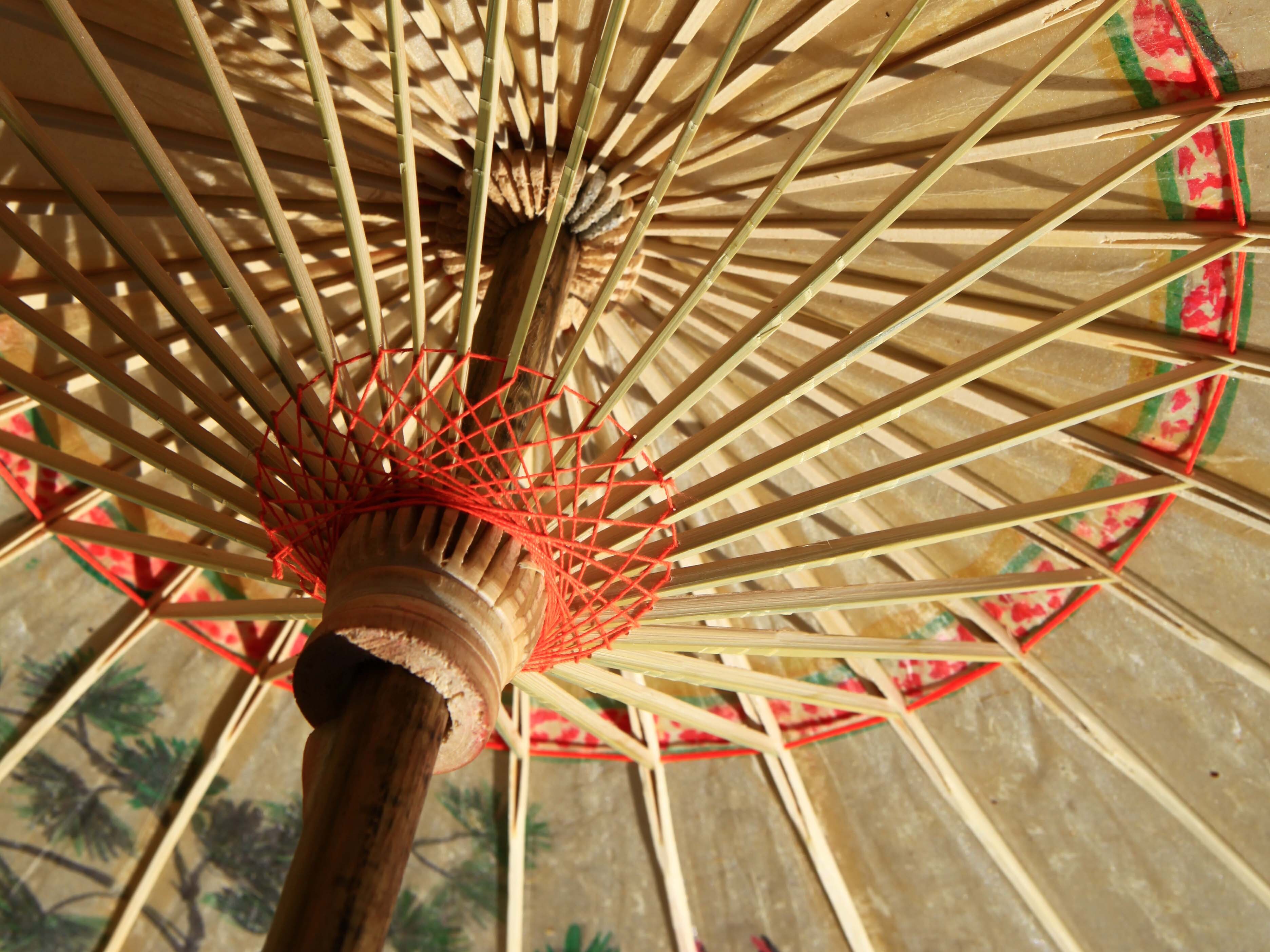 当蔬菜也时尚、油纸伞玩出“新花样” 泸州江阳乡村文化旅游兴味浓 - 川观新闻