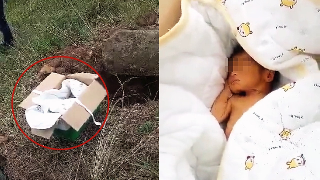 视频：山东村民在荒山挖出活婴 家属现身交代情况