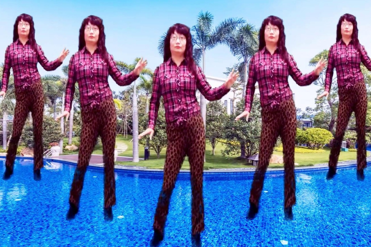 网红抖音神曲16步DJ广场舞《真好哥zombie》