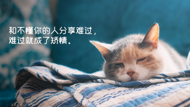 逢人不必言深，孤独本是常态，倘若深情被辜负，余生孤独又何妨