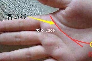 手相剖析：智慧线末端分叉的人