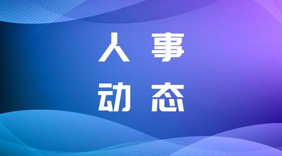 员;王小磊,王国会为长春新区人民法院审判员;王丛强,张玉霞,米志娜