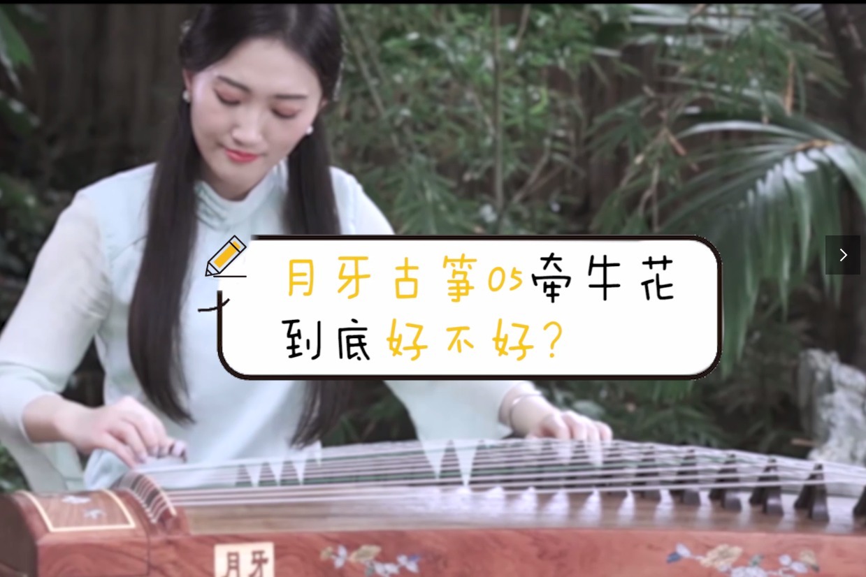 月牙古筝05牵牛花到底好不好?