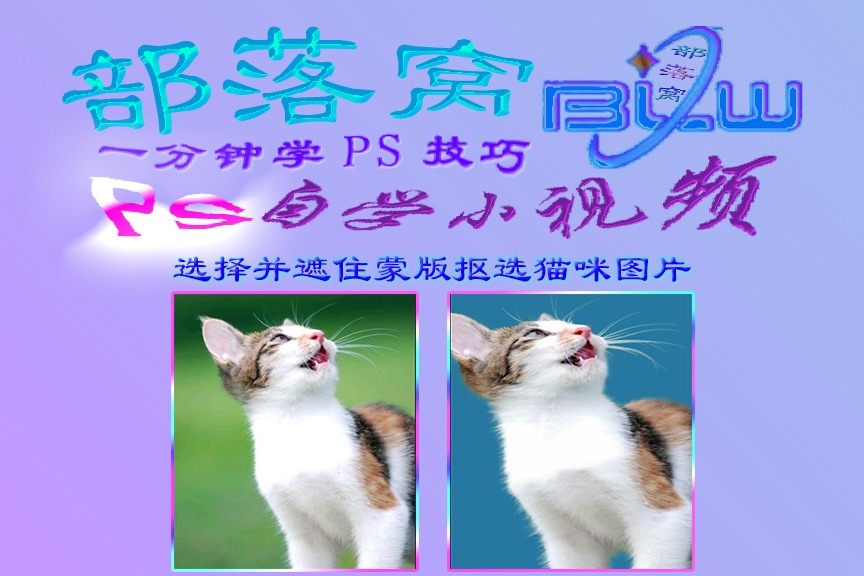 ps抠选猫咪图片视频:选择并遮住抠图蒙版区域