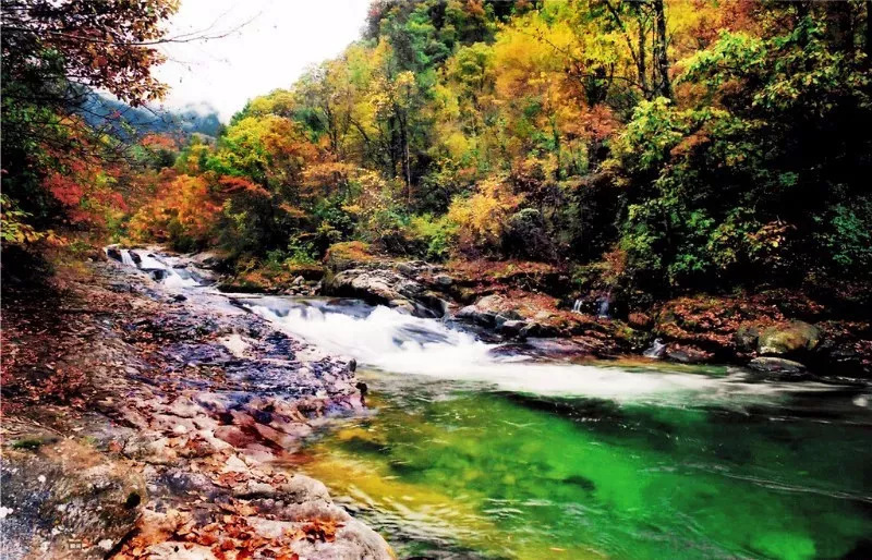 十一月来西安旅游,这十个季节性景点不容错过