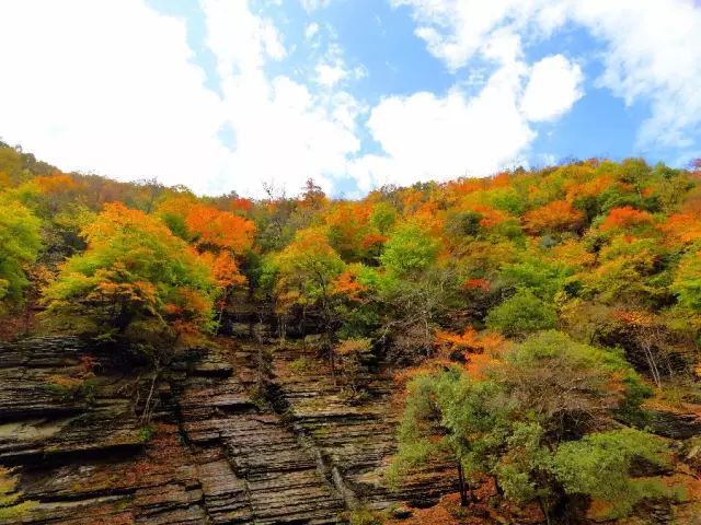 十一月来西安旅游,这十个季节性景点不容错过