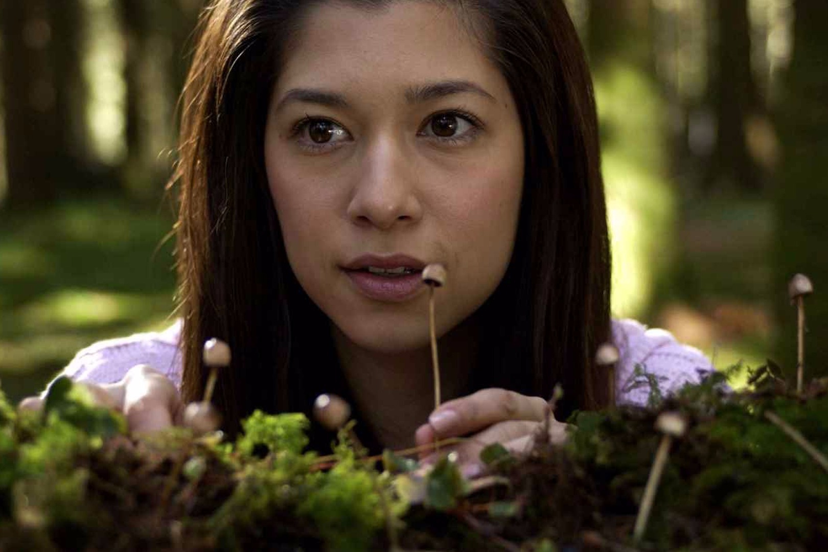 胆小者看的恐怖电影解说：几分钟看完美国恐怖电影《死神蘑菇》