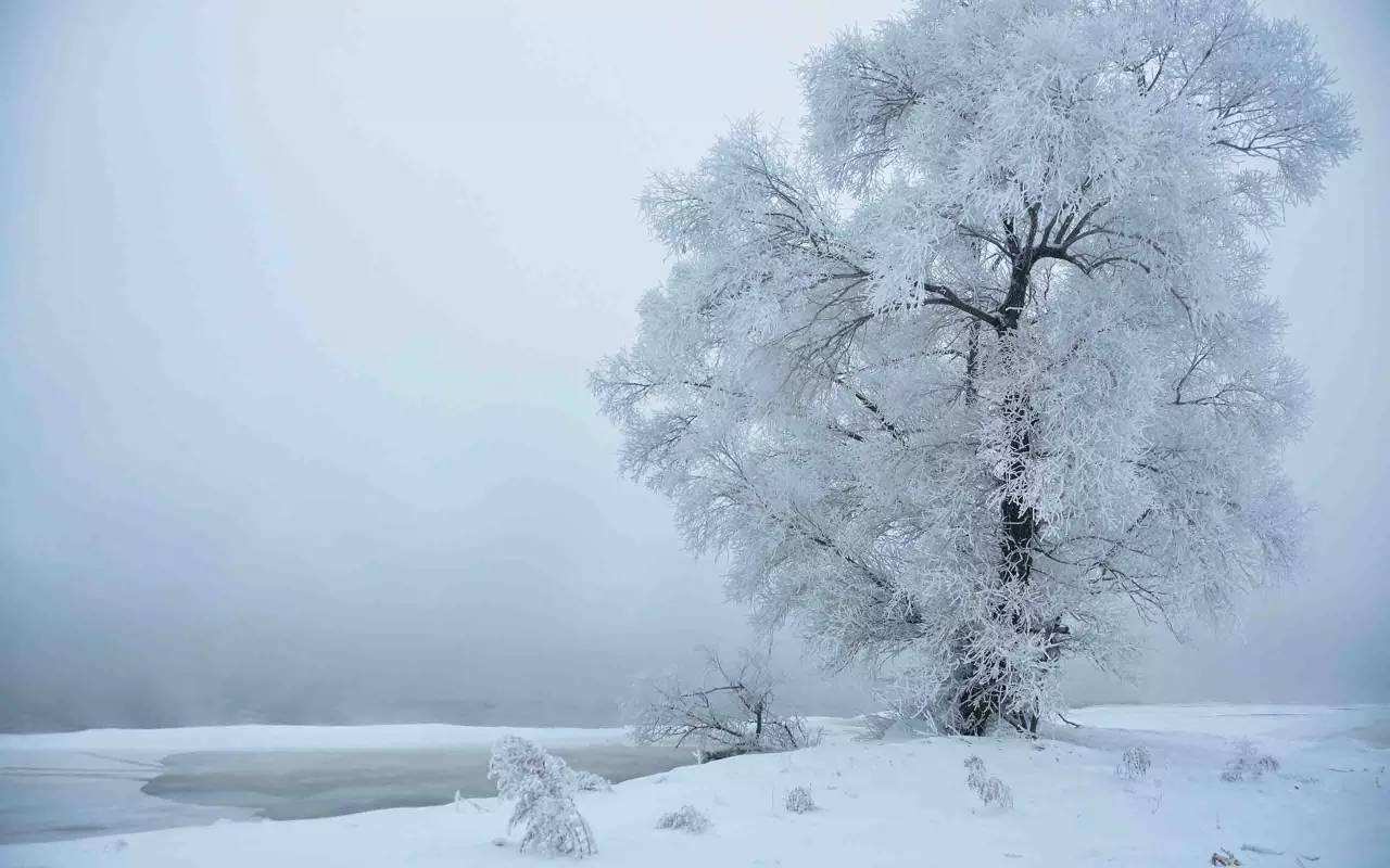 冬天枯死的庄稼地，后面是五颜六色的树高清摄影大图-千库网