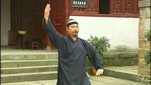 田理阳道长演示武当太极拳64式