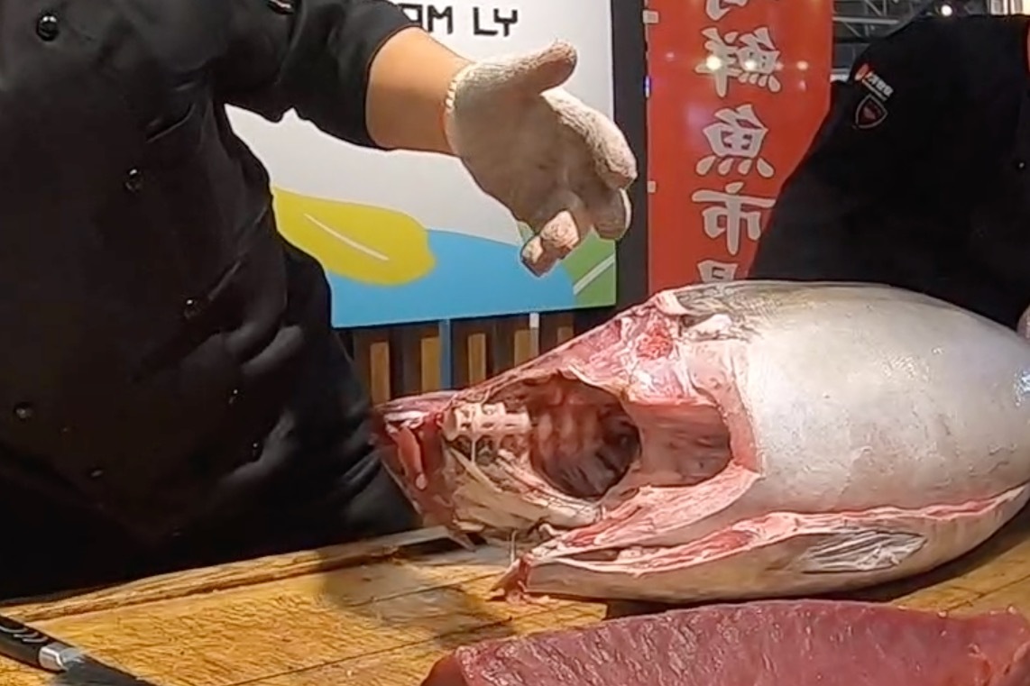第一次看金枪鱼完整解体秀，不在日本，在中国青岛