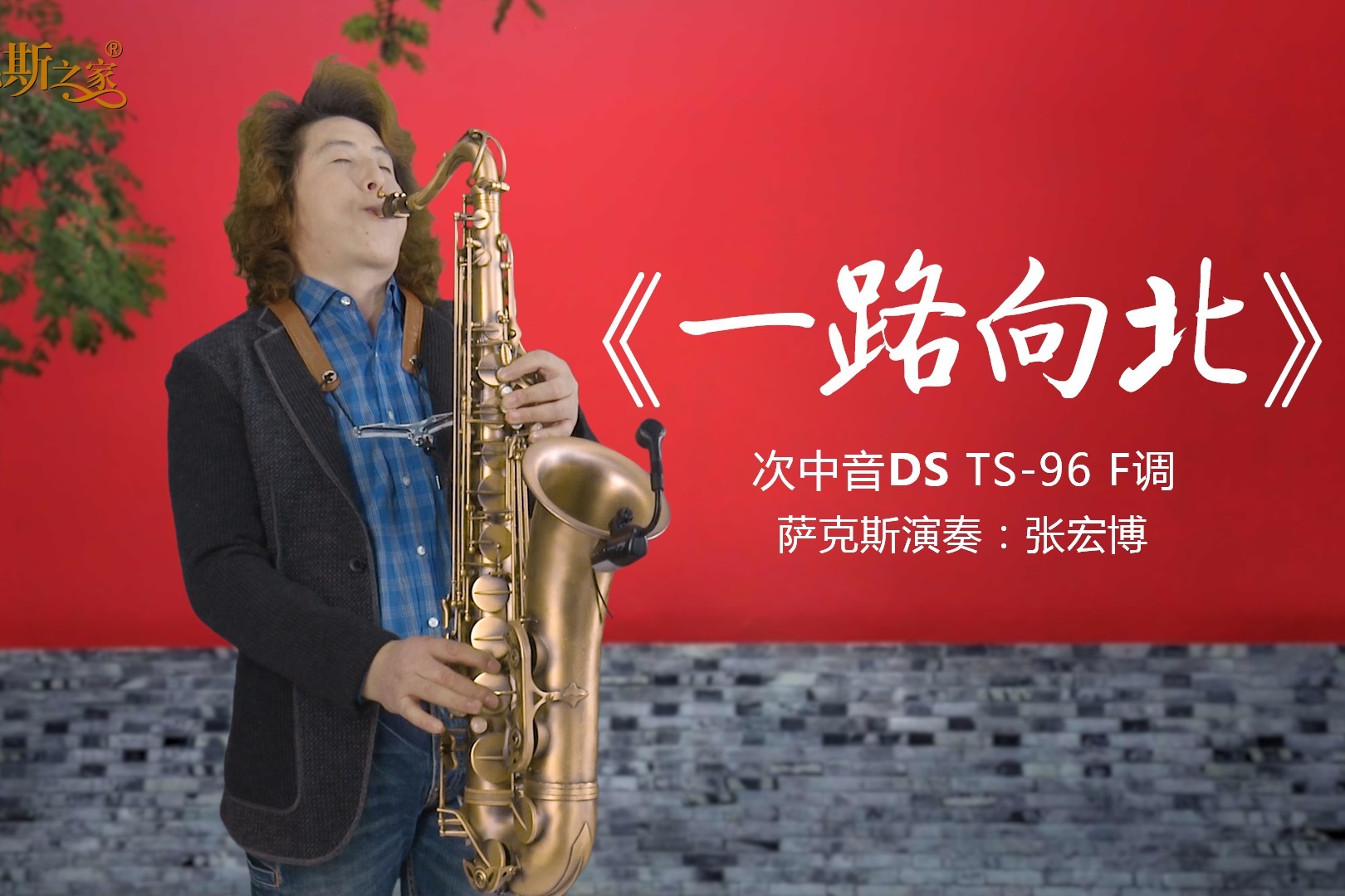 抒情萨克斯《一路向北》，热门流行金曲，深情悠扬动听！