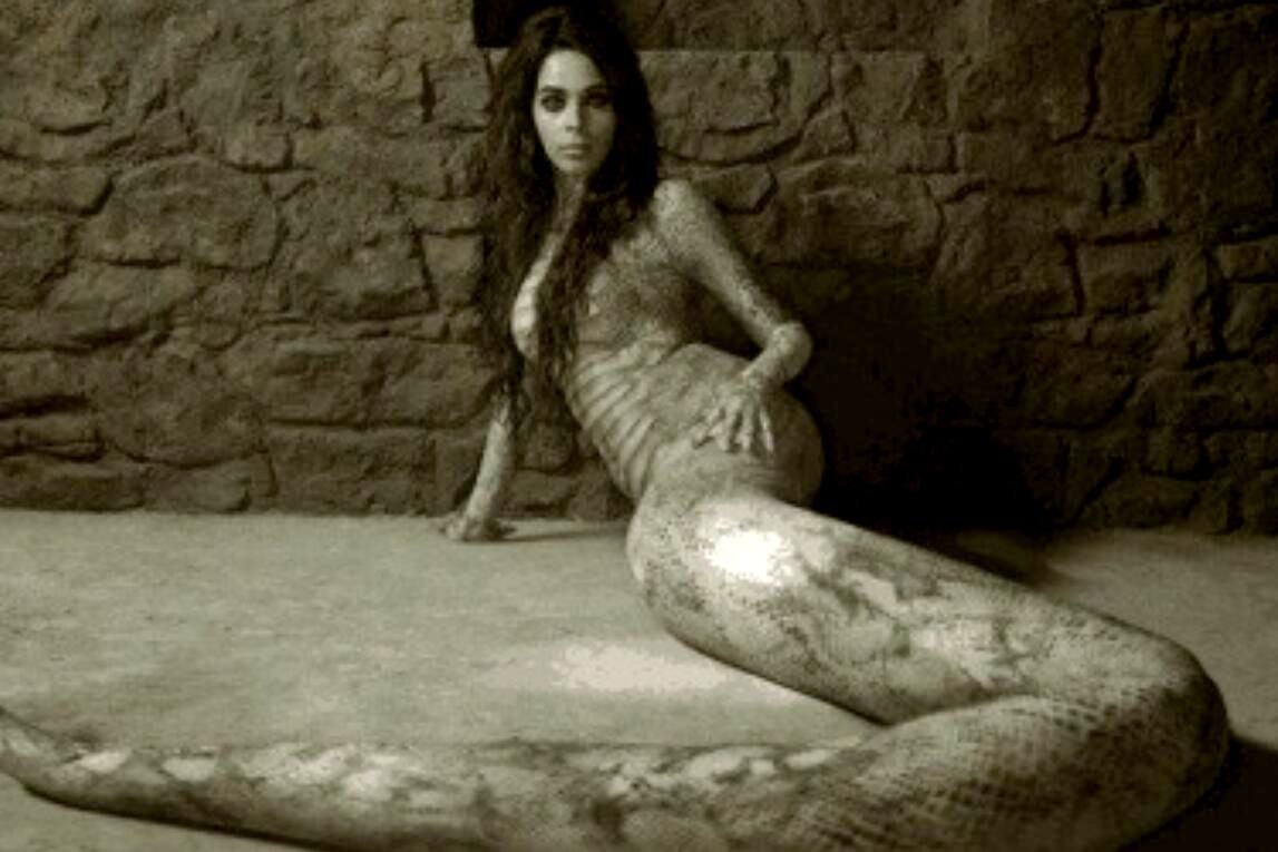 千年大蛇为寻老公，幻化成美女，在人间惩恶扬善！