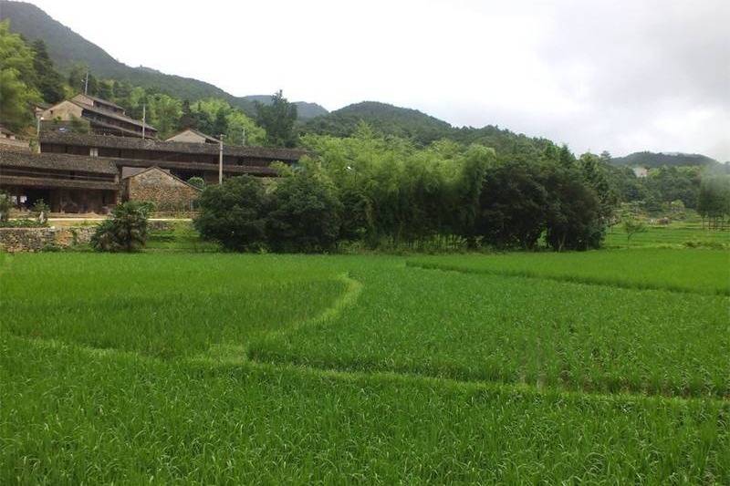 俗语：“上车饺子下车面”，你知道是什么意思吗？太暖心了