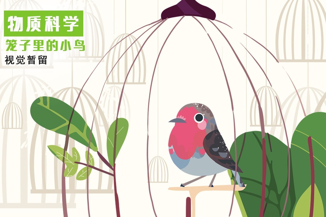 科学小实验丨一起来欣赏美丽的笼中鸟吧