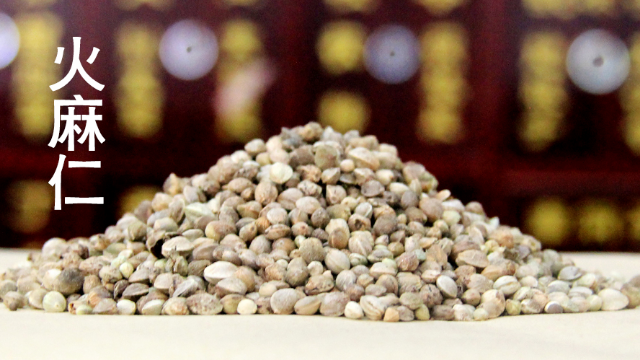 中药火麻仁的传说故事——橘香园学堂
