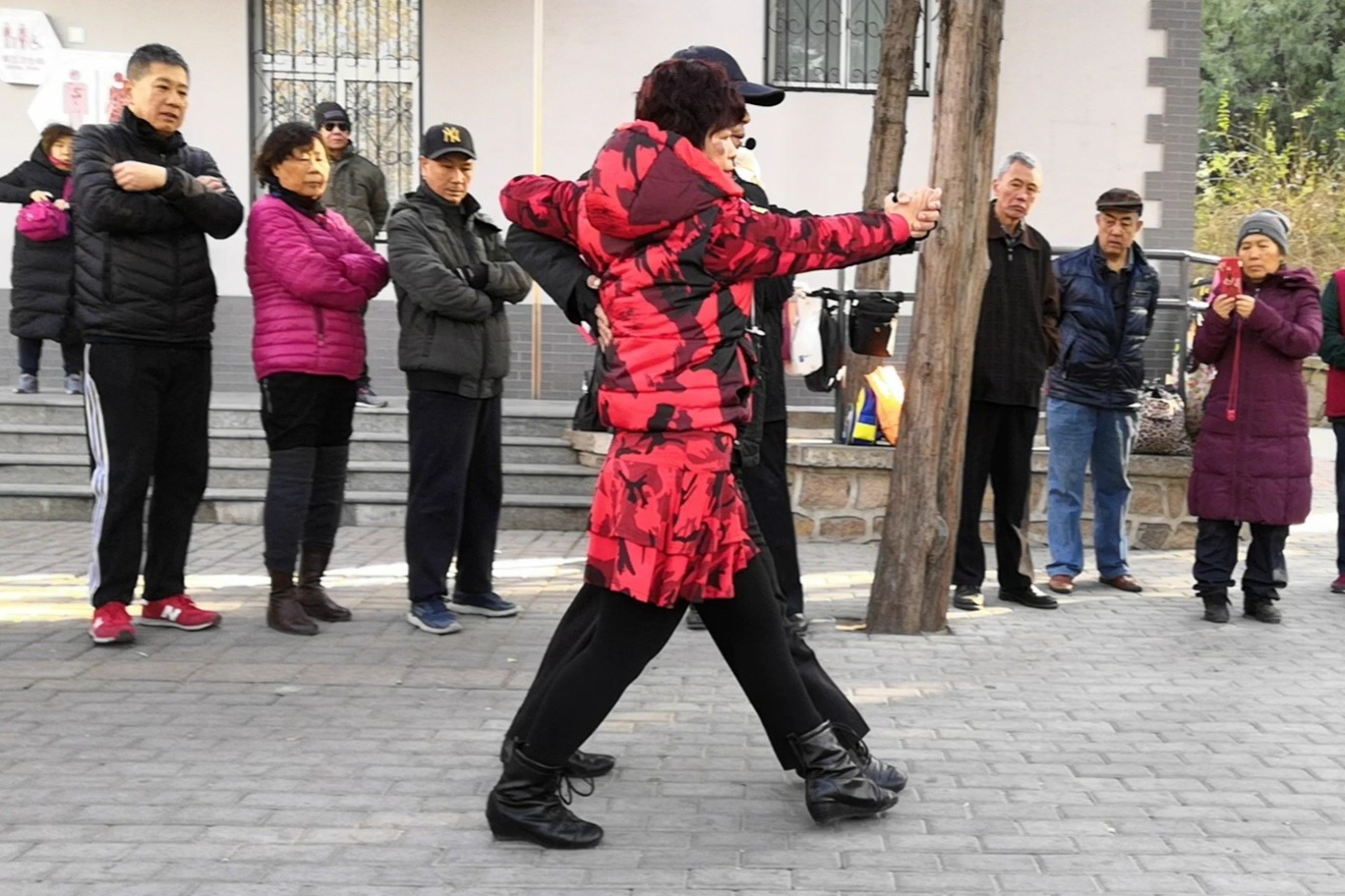 双人交谊舞，探戈《前进后退交叉步》分解教学