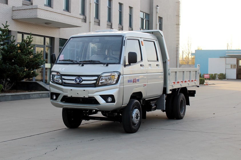 新农村建设小能手，能拉人能拉货，时风双排自卸车了解一下