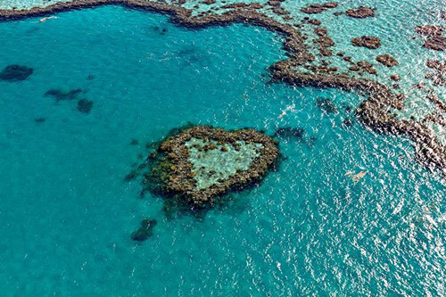 澳大利亚大堡礁旅游攻略澳大利亚旅游景点推荐