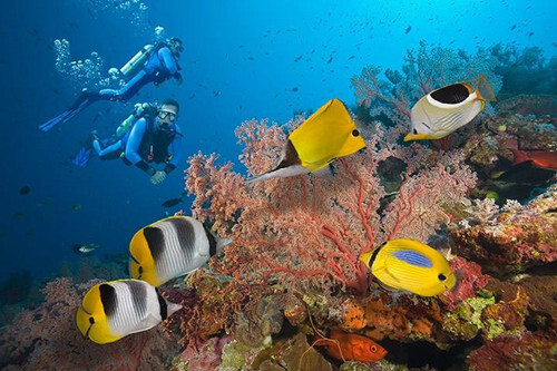 澳大利亚大堡礁旅游攻略澳大利亚旅游景点推荐
