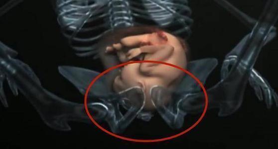 孩子是咋从那么窄的产道出生的？组图播放全过程，太心疼！(产道那么小,婴儿是怎么出来的呢?)