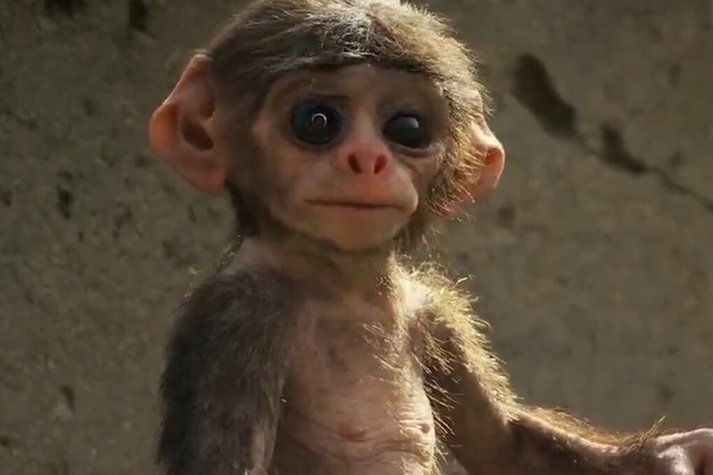 38333c712048ba5df05f4999eb56f255abae6e36_size62_w1020_h680.jpg