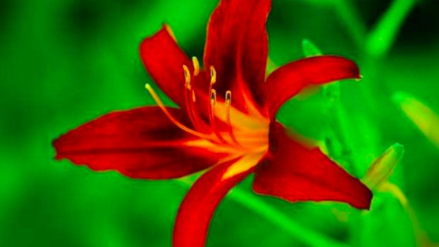 医生有你:段汝钦 科普什么是zhi未病