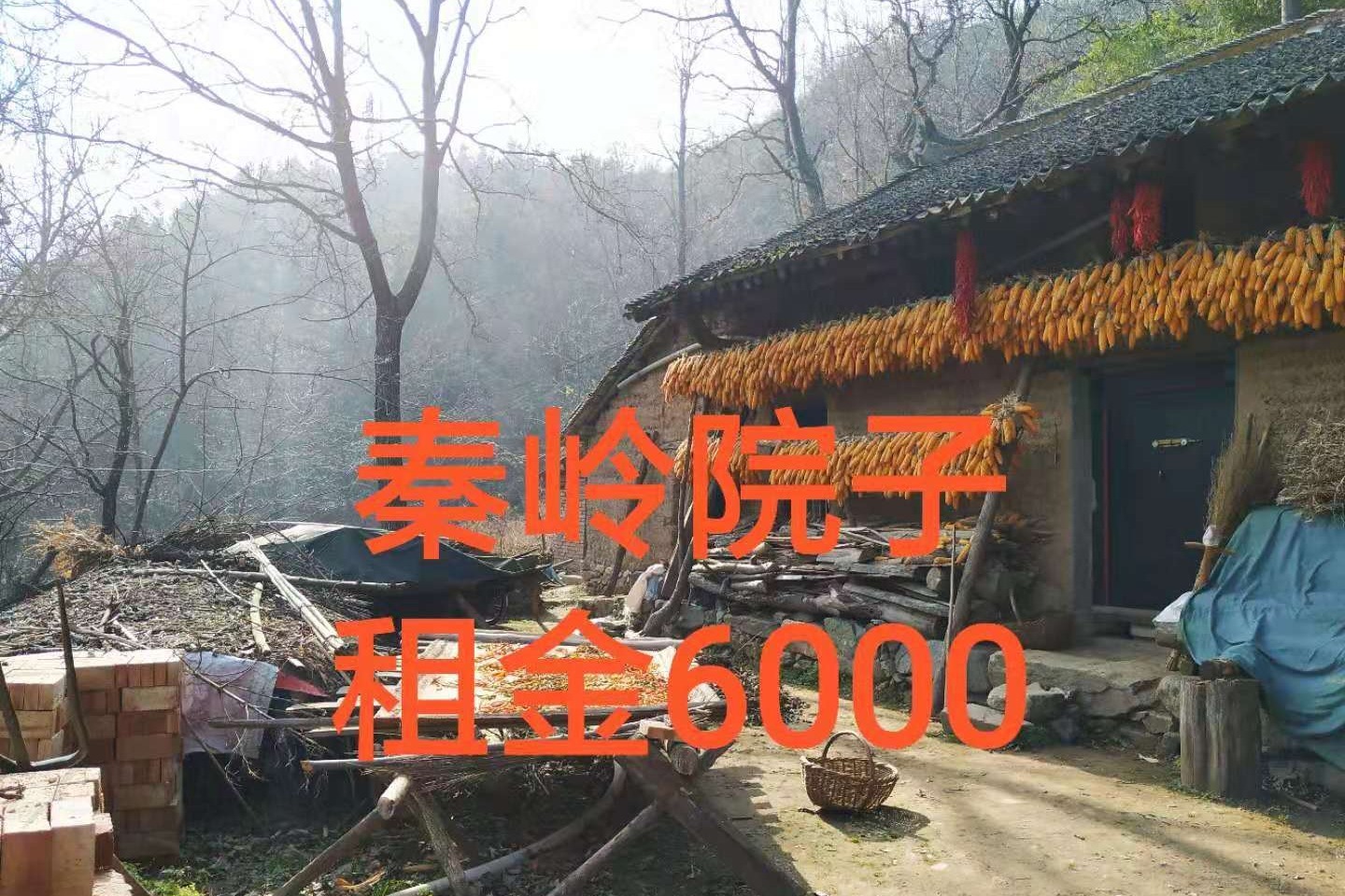 西安秦岭的院子有山有水有果树有竹林一年租金6000元贵不贵