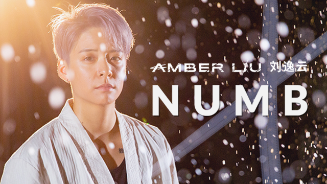 刘逸云ambernumb