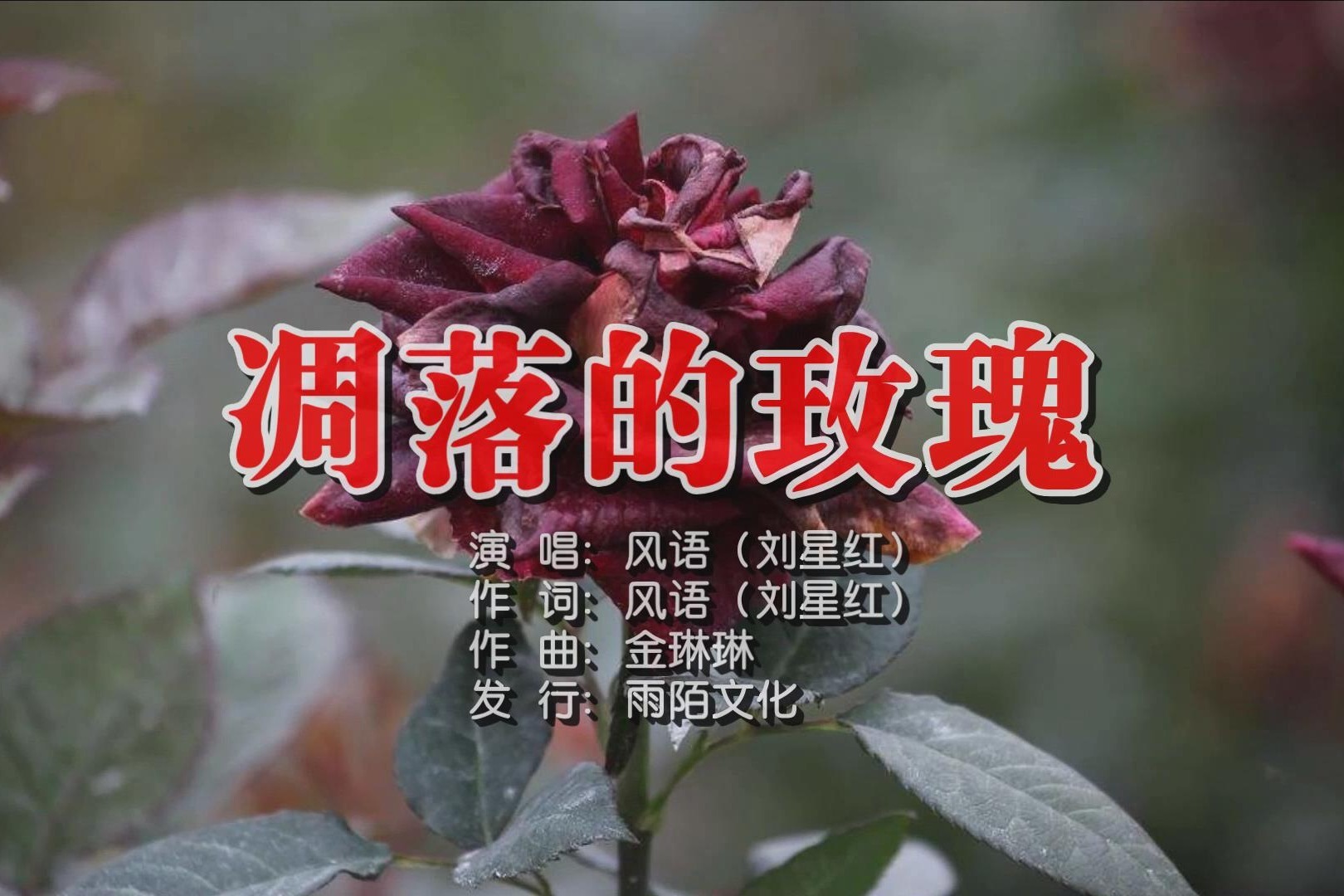 风语 - 凋落的玫瑰MTV