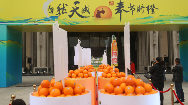 2019奉节脐橙正式上市 首届中国·奉节国际橙博会开幕