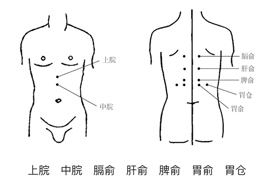 肝俞:第九胸椎棘突下,旁开1.5寸 脾俞:第十一胸椎棘突下,旁开1.5寸.