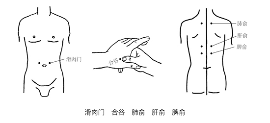 【取穴 滑肉门:脐上1寸,前正中线旁开2寸.