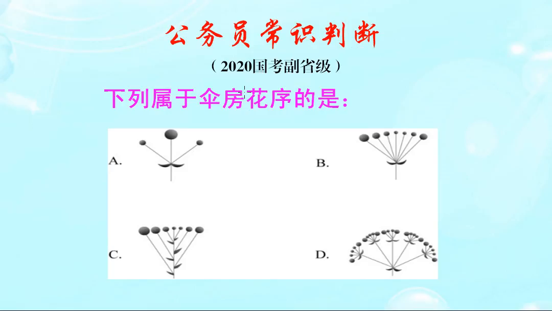 公务员常识判断，下列图片中属于伞房花序的是哪一个？难倒了学霸