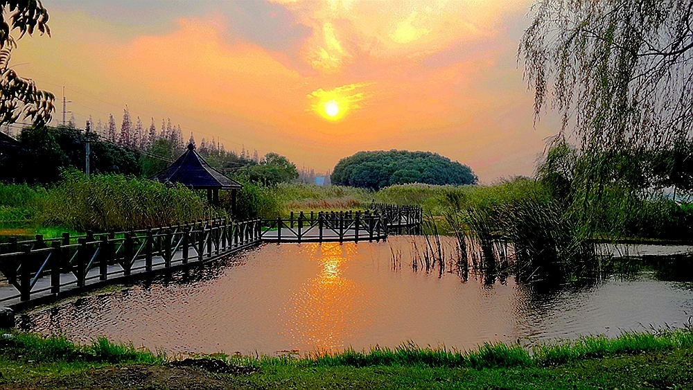 在上海青浦,有一种迷人,叫淀山湖日落