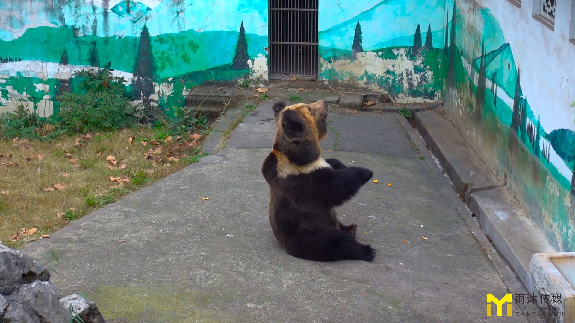烤火的企鹅 作揖讨食的熊 神奇动物在哪里