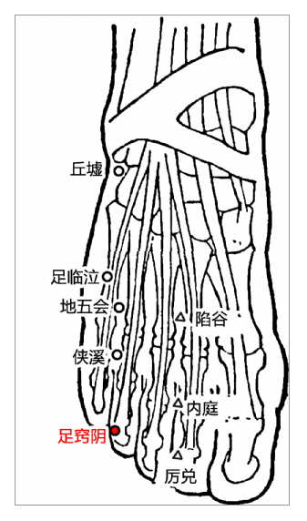 针灸穴名解—胆经腧穴 足窍阴