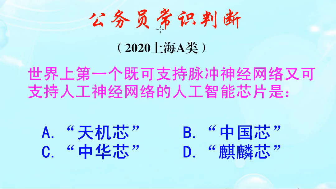 世界上第一个既支持脉冲神经网络，又支持人工神经网络的芯片是啥