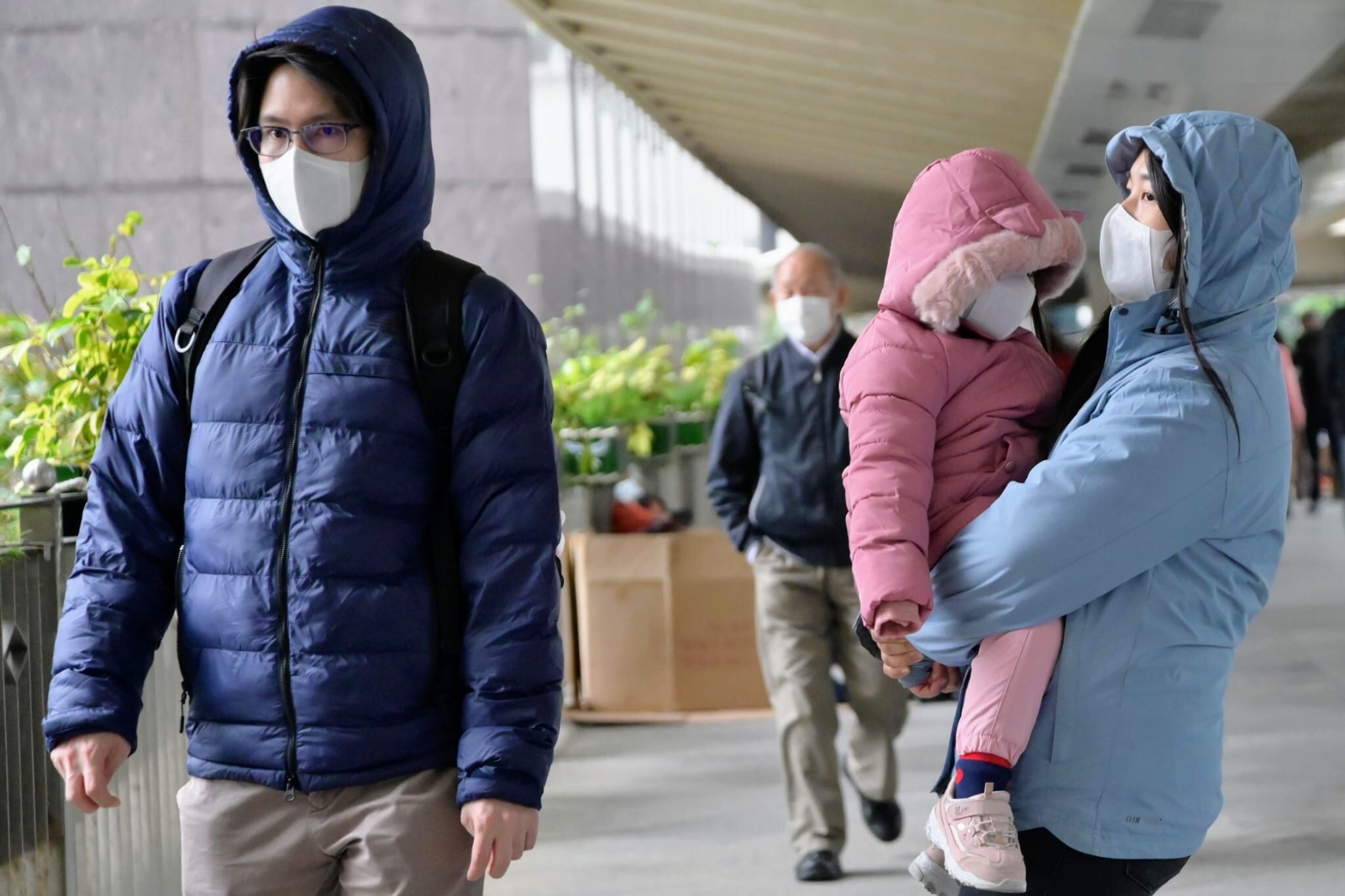 新型肺炎 市民网购口罩 香港百佳网逾10万人排队