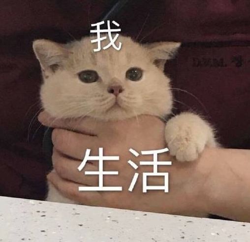 心态崩了!雅思取消中国3月的考试,留学生拿着offer没书读.