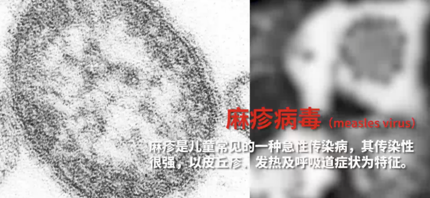 没有病毒，就没有今天的人类