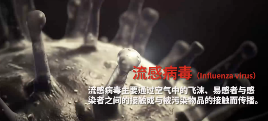 没有病毒，就没有今天的人类