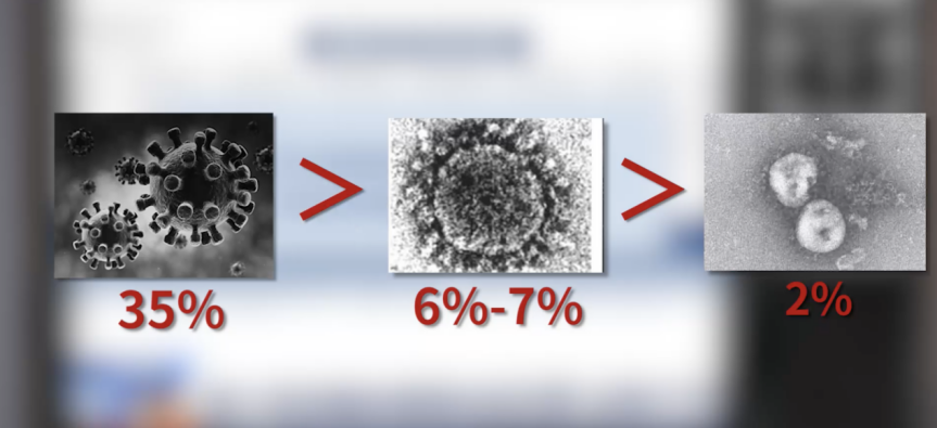没有病毒，就没有今天的人类