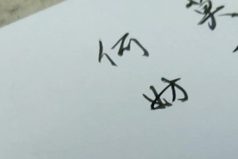 何妨吟啸且徐行