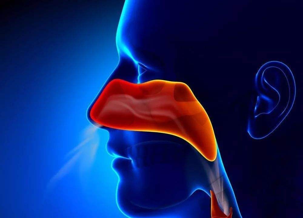 鼻咽癌的早期症状有哪些?